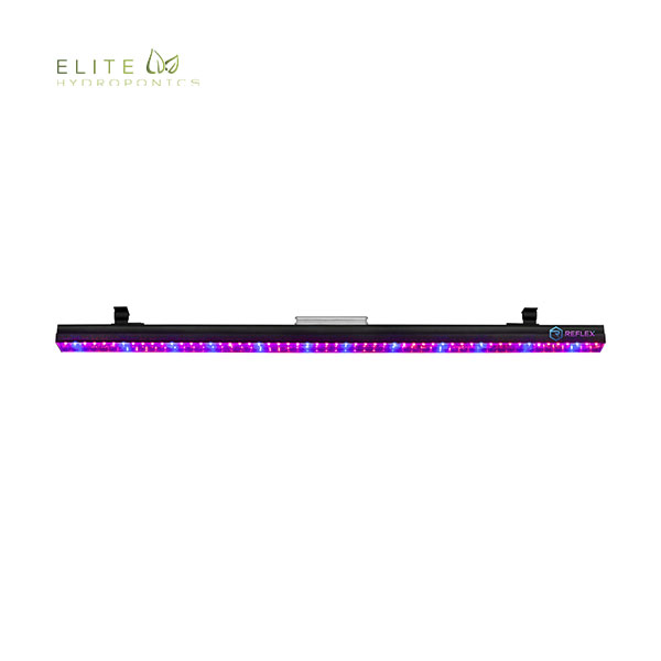 Reflex F Bar Light